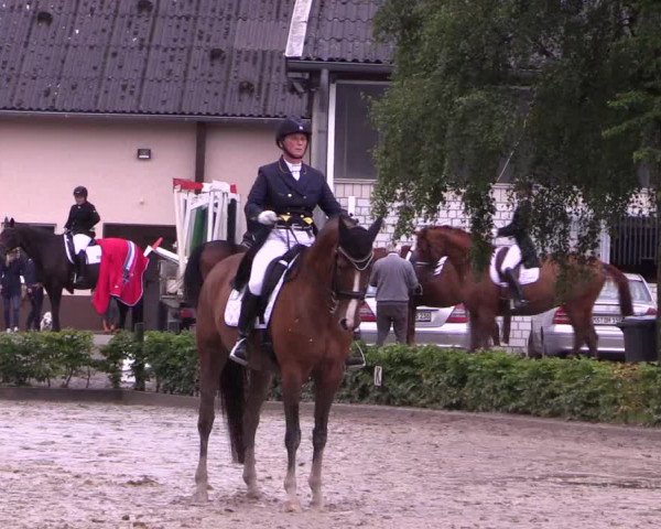 Reitturnier Olfen-Vinnum 2017