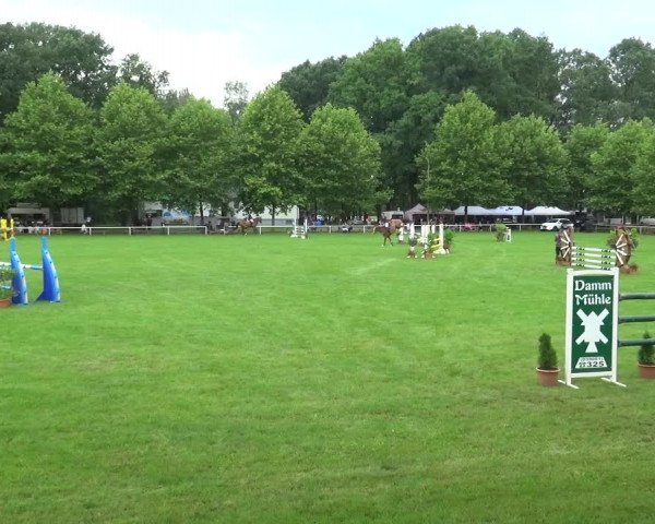 Reitturnier Zobbenitz 2017