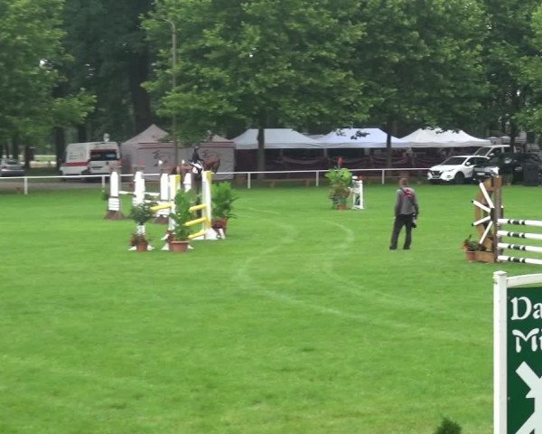 Reitturnier Zobbenitz 2017