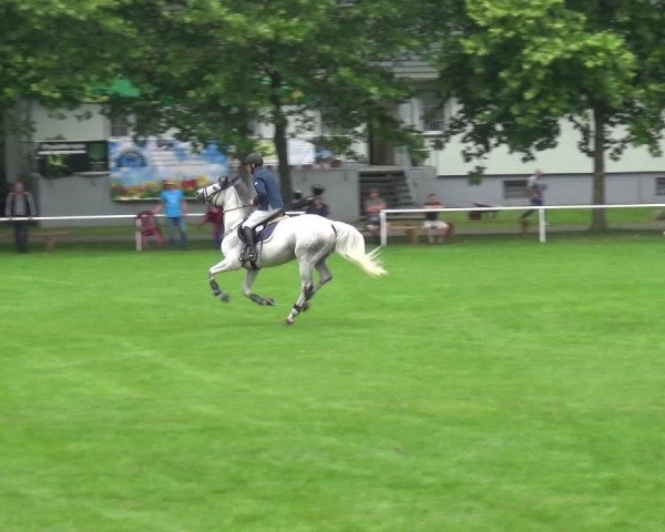 Reitturnier Zobbenitz 2017