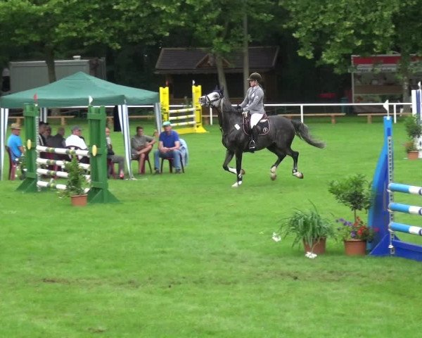 Reitturnier Zobbenitz 2017