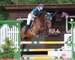 dressage horse Let's rock Larus (Holsteiner, 2011, from Lasino)