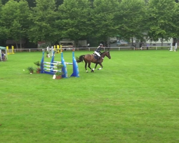 Reitturnier Zobbenitz 2017