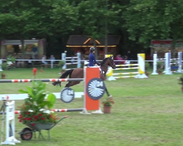 Reitturnier Zobbenitz 2017
