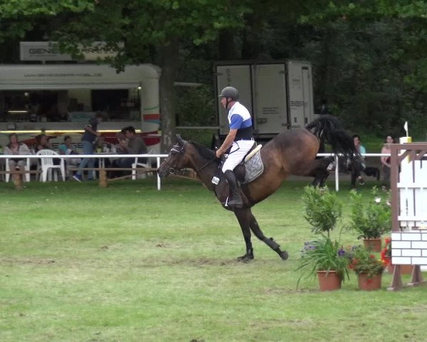 Reitturnier Zobbenitz 2017