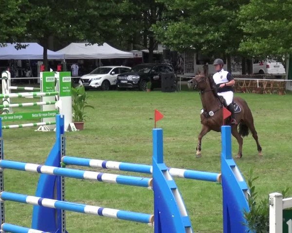 Reitturnier Zobbenitz 2017