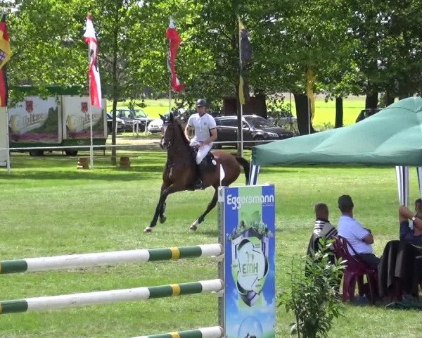 Reitturnier Zobbenitz 2017