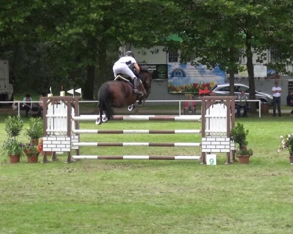 Reitturnier Zobbenitz 2017