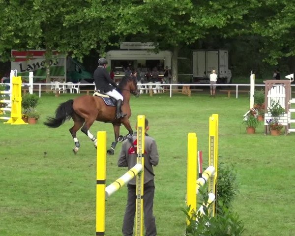 Reitturnier Zobbenitz 2017