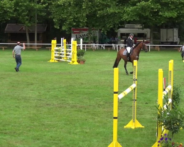 Reitturnier Zobbenitz 2017