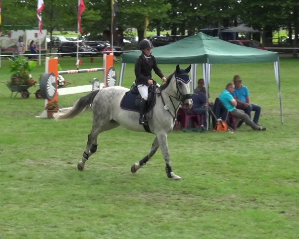 Reitturnier Zobbenitz 2017