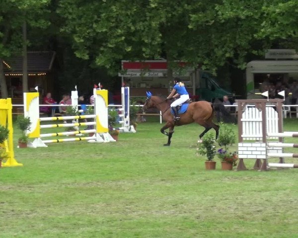 Reitturnier Zobbenitz 2017