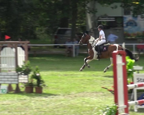 Reitturnier Zobbenitz 2017