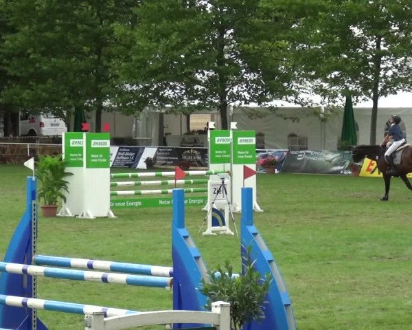 Reitturnier Zobbenitz 2017