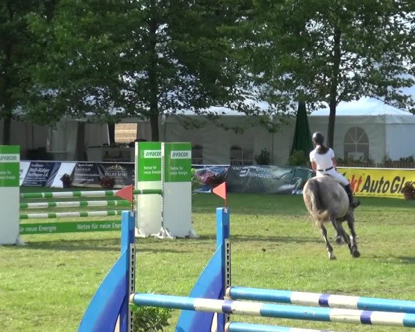 Reitturnier Zobbenitz 2017