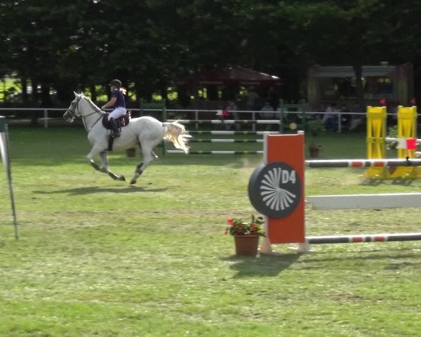 Reitturnier Zobbenitz 2017