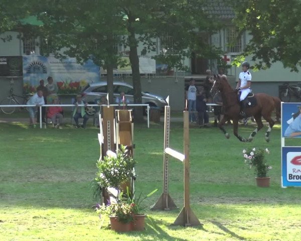 Reitturnier Zobbenitz 2017