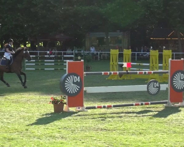 Reitturnier Zobbenitz 2017