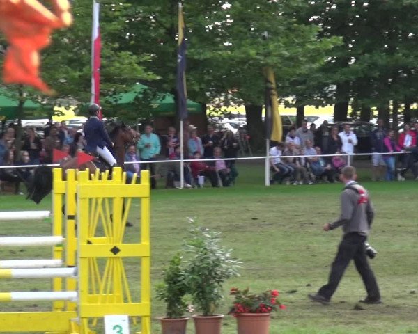 Reitturnier Zobbenitz 2017