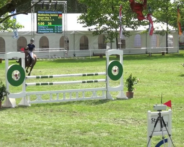 Reitturnier Zobbenitz 2017