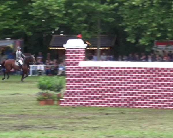 Reitturnier Zobbenitz 2017