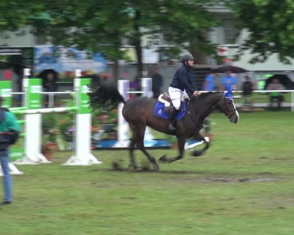 Reitturnier Zobbenitz 2017