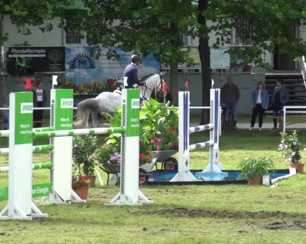Reitturnier Zobbenitz 2017