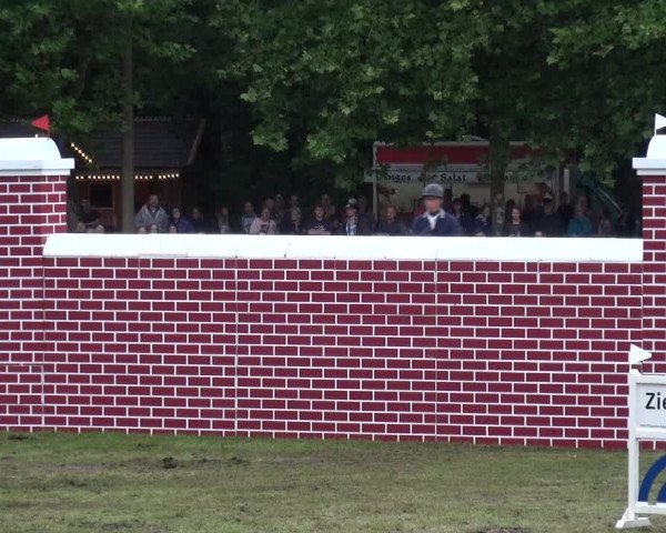 Reitturnier Zobbenitz 2017