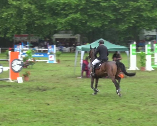 Reitturnier Zobbenitz 2017