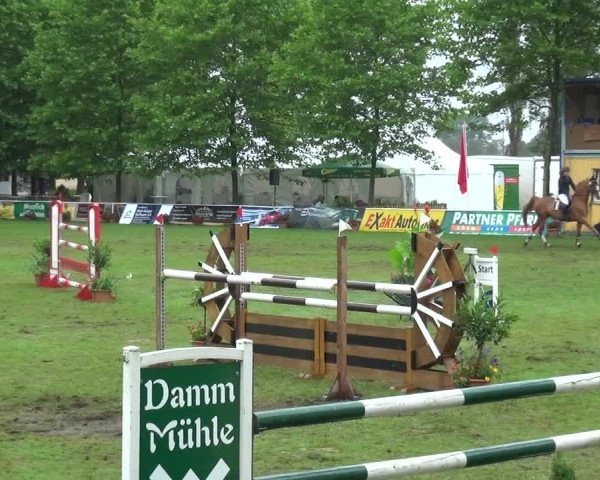Reitturnier Zobbenitz 2017