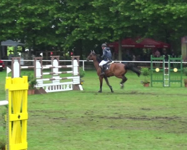 Reitturnier Zobbenitz 2017