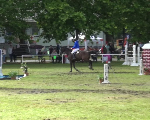 Reitturnier Zobbenitz 2017