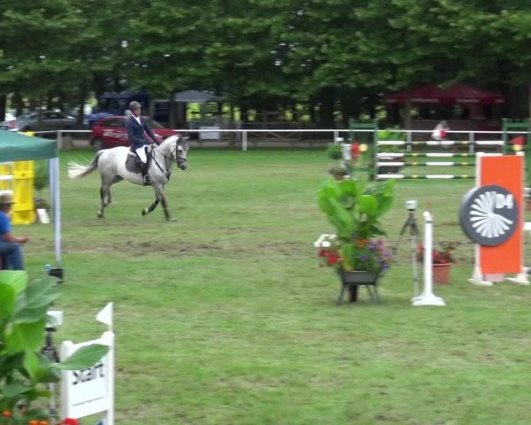 Reitturnier Zobbenitz 2017