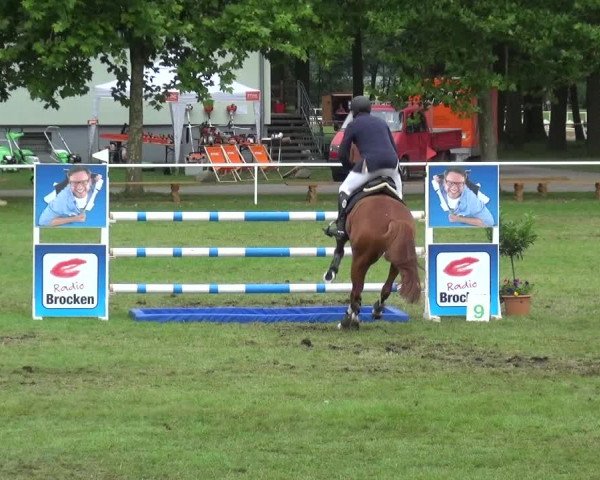 Reitturnier Zobbenitz 2017