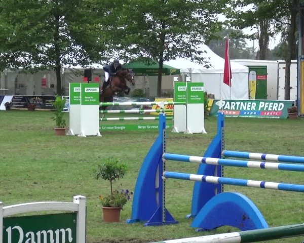 Reitturnier Zobbenitz 2017