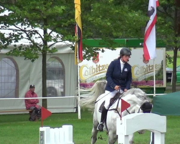 Reitturnier Zobbenitz 2017