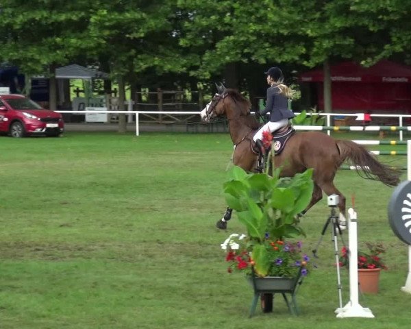 Reitturnier Zobbenitz 2017
