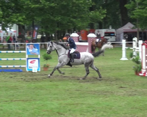 Reitturnier Zobbenitz 2017