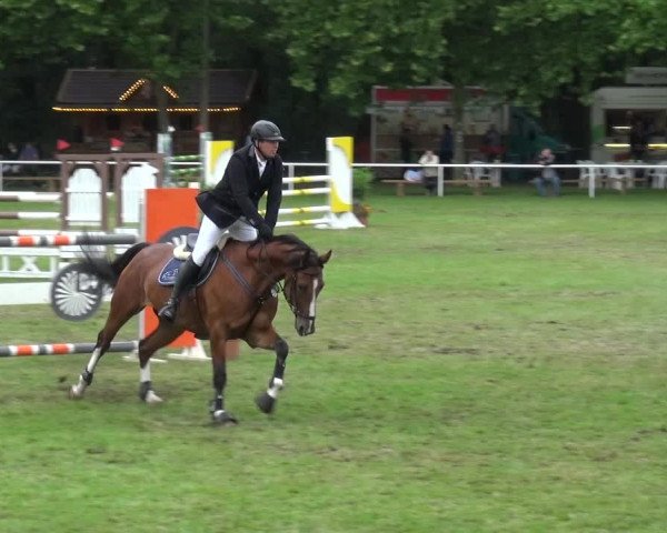 Reitturnier Zobbenitz 2017