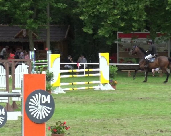 Reitturnier Zobbenitz 2017