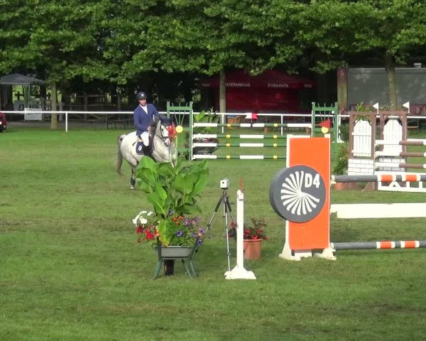 Reitturnier Zobbenitz 2017