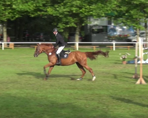 Reitturnier Zobbenitz 2017