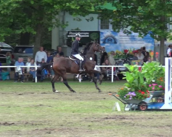 Reitturnier Zobbenitz 2017