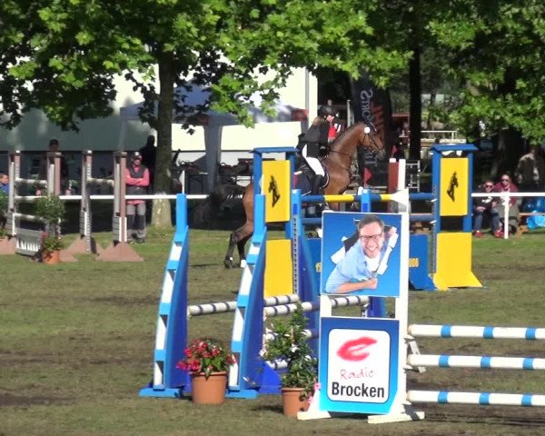 Reitturnier Zobbenitz 2017