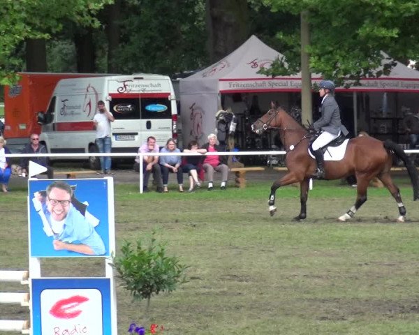 Reitturnier Zobbenitz 2017