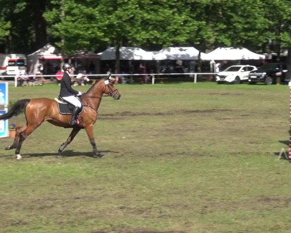 Reitturnier Zobbenitz 2017