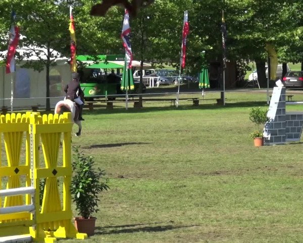 Reitturnier Zobbenitz 2017