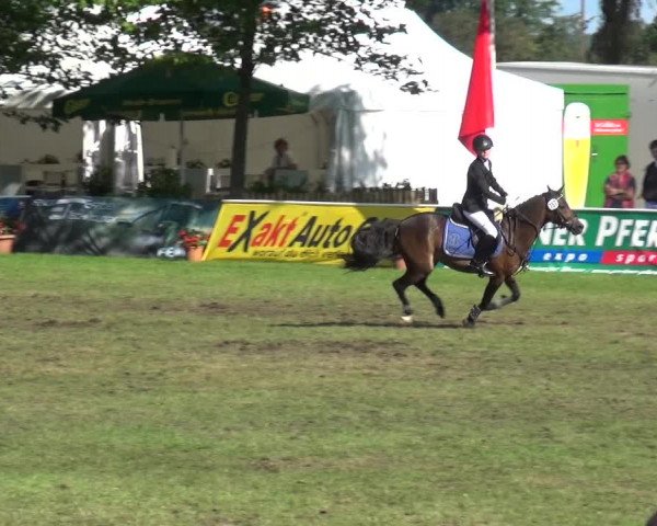 Reitturnier Zobbenitz 2017