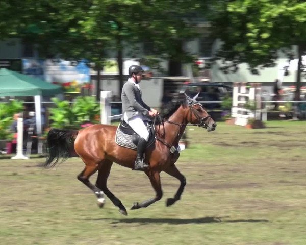 Reitturnier Zobbenitz 2017