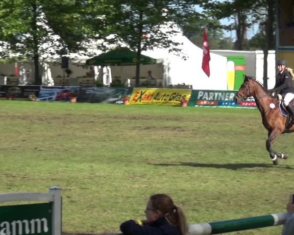 Reitturnier Zobbenitz 2017